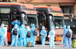 TP.HCM tạo điều kiện cho lao động về quê